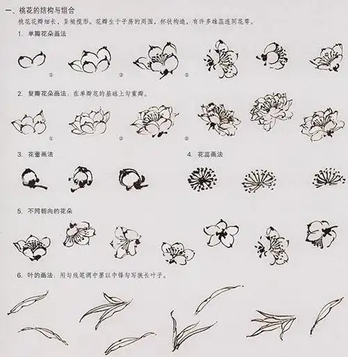 转中国国画桃花的绘画技法