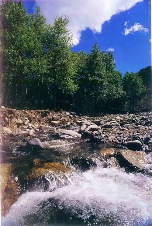 p data-id="gnwsxg0jpc">白石头位于新疆东部 a target="_blank"