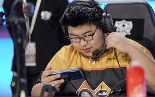 我们都知道重庆qg在将小胖抬上一队之后,解决了重庆qg没有野核的问题