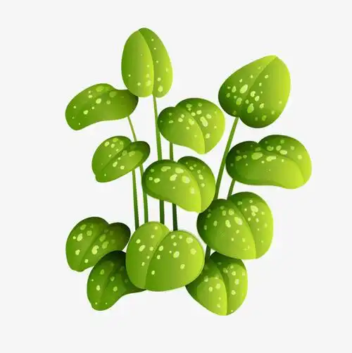 绿色植物卡通剪纸 手工剪纸图片大全简单-蒲城教育文学网