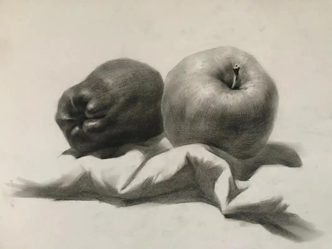 素描水果类.好好画画,好好画素描组合,加油美术人#素描静物  - 抖音