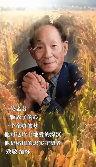 视频丨湖南工业大学教师创作沙画作品致敬袁隆平