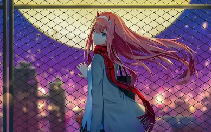 【国家队】02壁纸