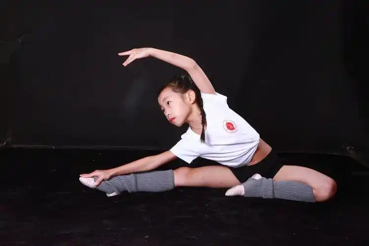 舞蹈是有节拍的步调,就像诗歌是有韵律的文体一样.