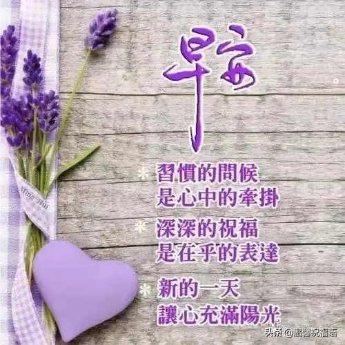 赞美友情的句子唯美