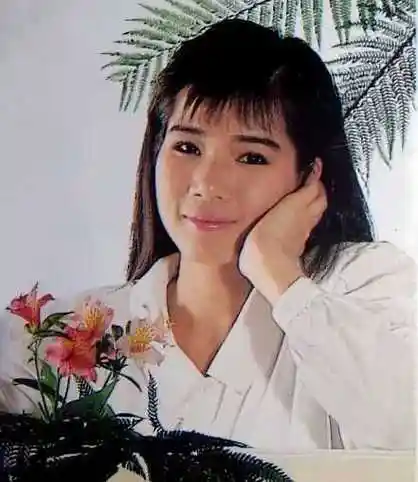 往事只能回味简谱 韩宝仪 唱出多少老朋友们的回忆3