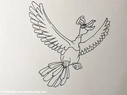 神奇宝贝光辉大神简笔画