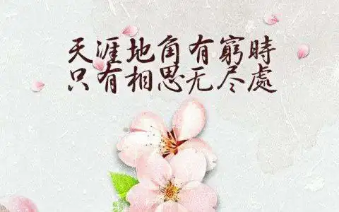 "天涯地角有穷时,只有相思无尽处"是什么意思?