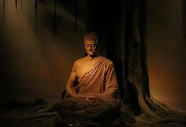 佛陀智慧,再一次被中国樵夫所证明 当年,悉达多太子,在一株菩提树下