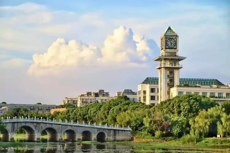 中南财经大学是985吗(大学丨中南)