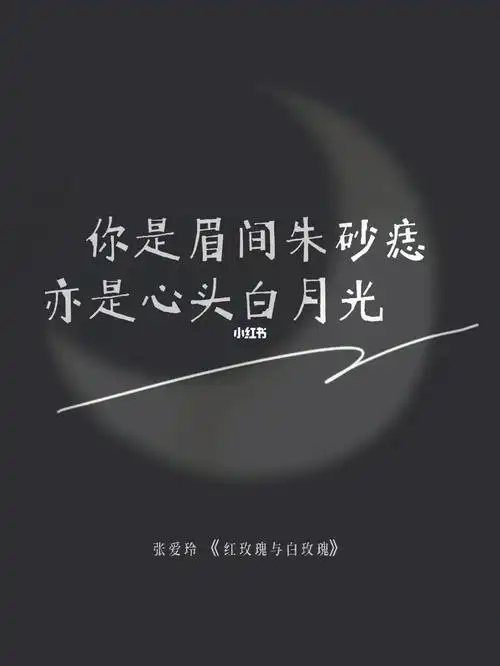 朱砂痣与白月光皆是你