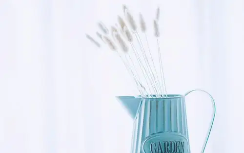 小清新植物高清图片桌面壁纸