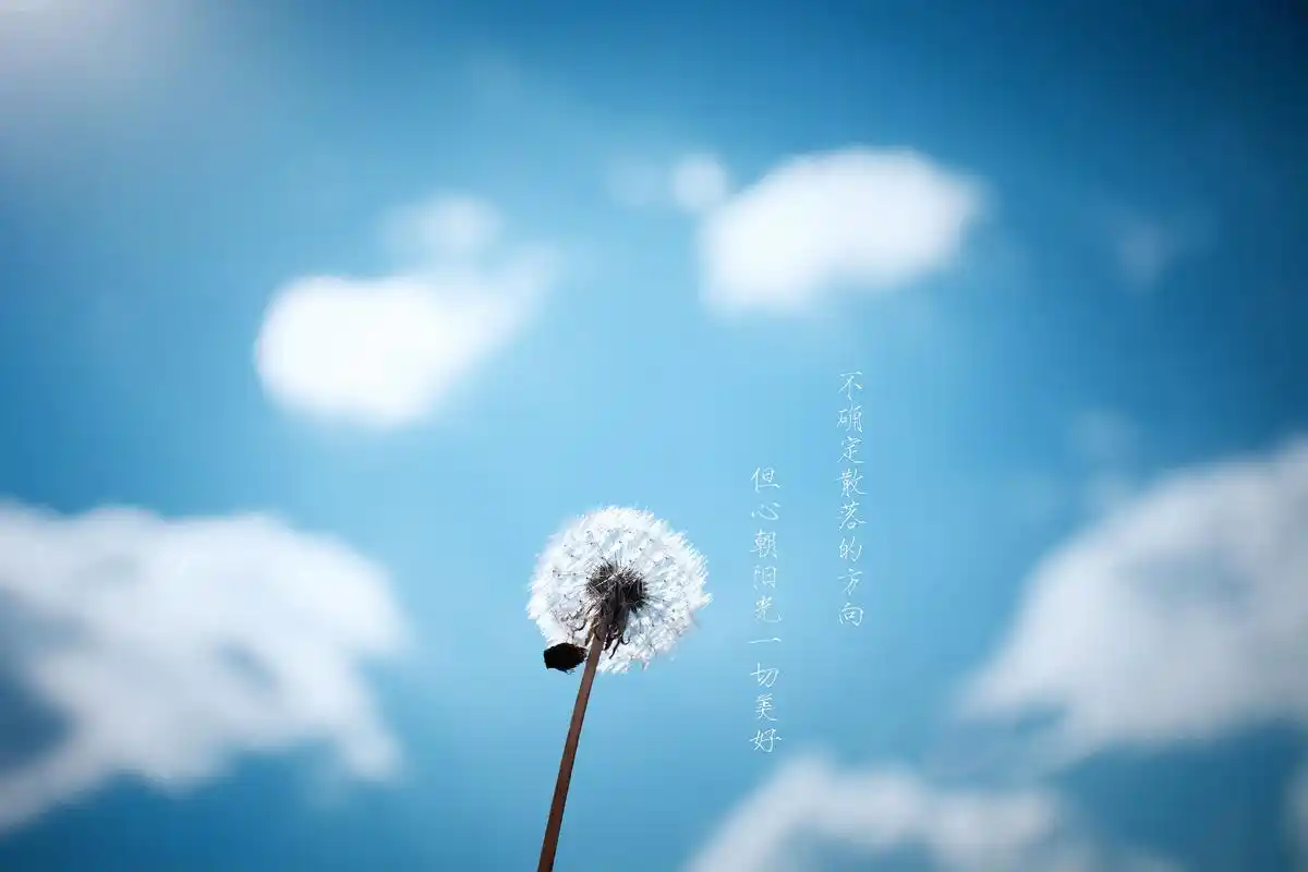 充满正能量的句子 - 名人名言365