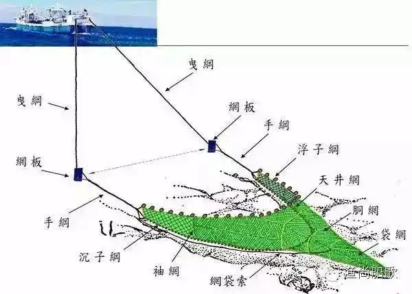 实拍拖网水下捕鱼场景,怪不得能捕到这么多鱼!