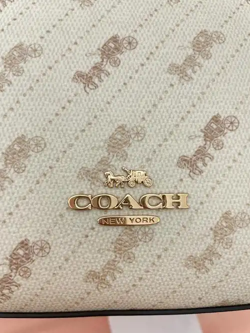 coach马车托特