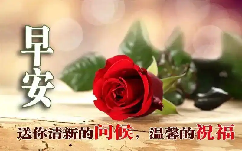 2021最新最漂亮早上好表情动态图片带字和鲜花早上好问候祝福动态图片