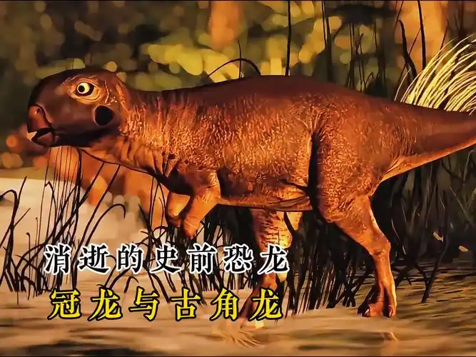 消逝的史前恐龙:古角龙与冠龙