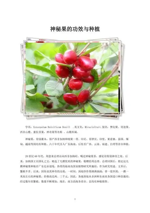 神秘果的功效与种植