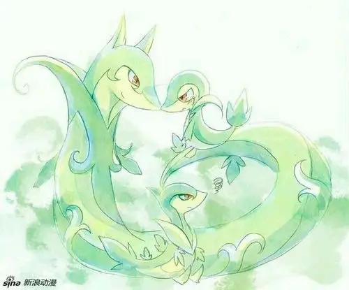 藤藤蛇,青藤蛇,君主蛇