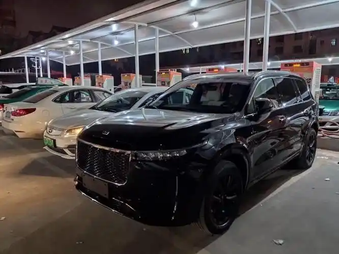 理想one提车作业理想one黑武士提车作业