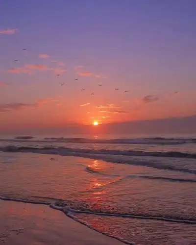 总会有一个傍晚我们肩并肩的走在海边的日落下insferrarimonk