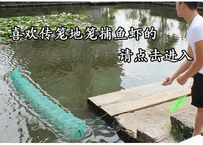 捕捉小龙虾网(小龙虾捕捉时间)_大全-幸福起航