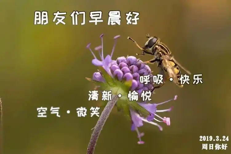 最美微信早上好动态图片表情大全 7月份大家早上好祝福语图片