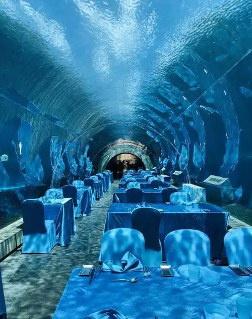 三亚海棠湾酒店攻略,天房洲际海底餐厅用餐,水族馆潜水之旅