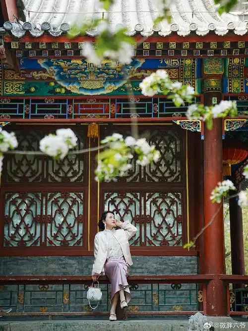 春游季##城市巡游记##去春天里遛遛自己