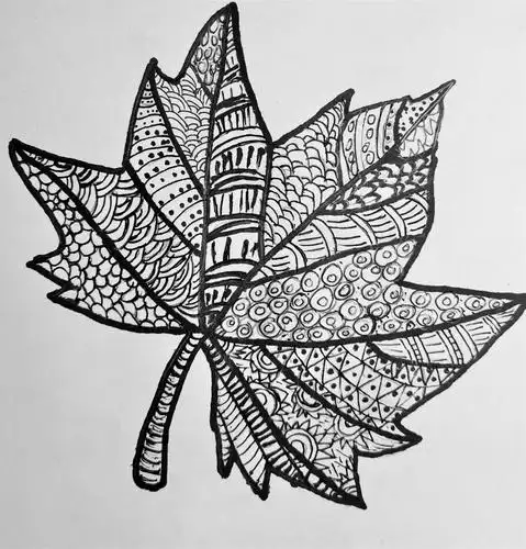 这张作业的图案设计是由各种线构成,很有装饰感,画得也好,但是没有