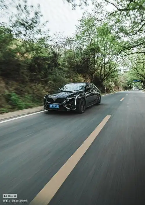 ct4尊贵 yyds_凯迪拉克ct4车友圈_懂车帝