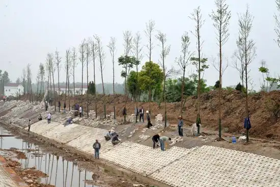 赤壁:乡村水渠改造 整治美化并重