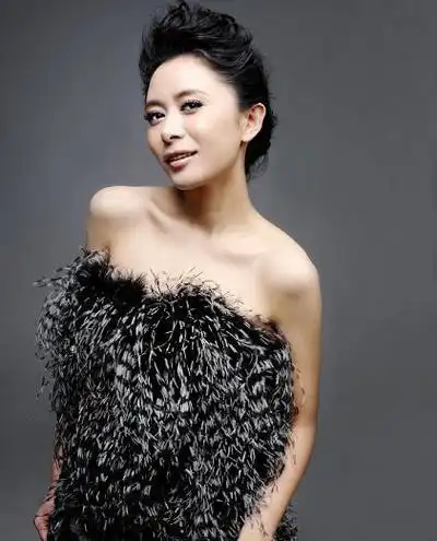 明星资源张恒简介                          张恒,中国内地女演员