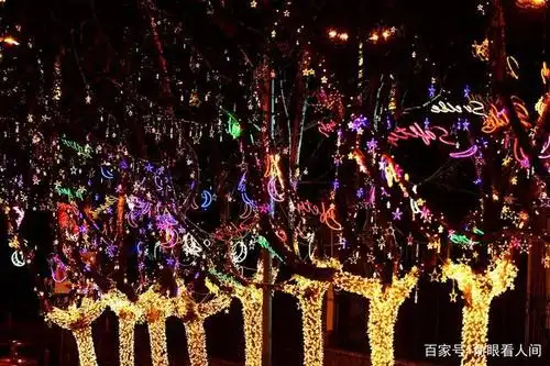 图为1月29日晚,青岛西海岸新区凤山路,道边树上点亮的花灯.