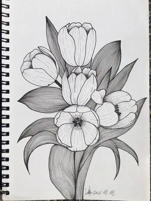 控线练习49植物线描有步骤图