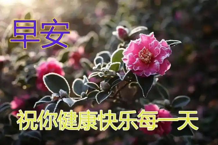 今天最新早上好问候语图片_流失_风风雨雨_弱者