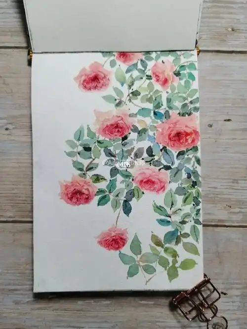 水彩玫瑰花附步骤图