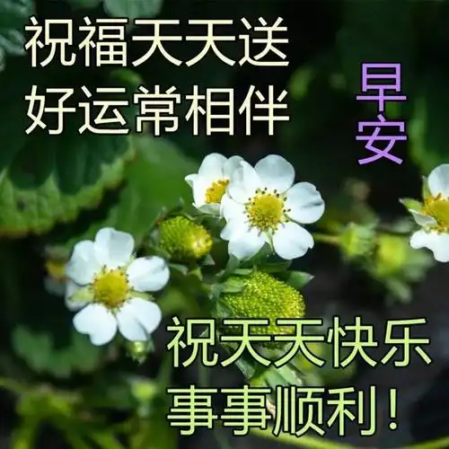 微信早安好春天暖心图片 温馨的清晨好问候心语