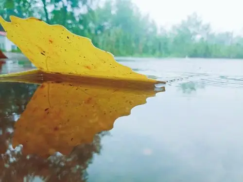 夏日的阴天总是让人的心情也跟着阴晴不定