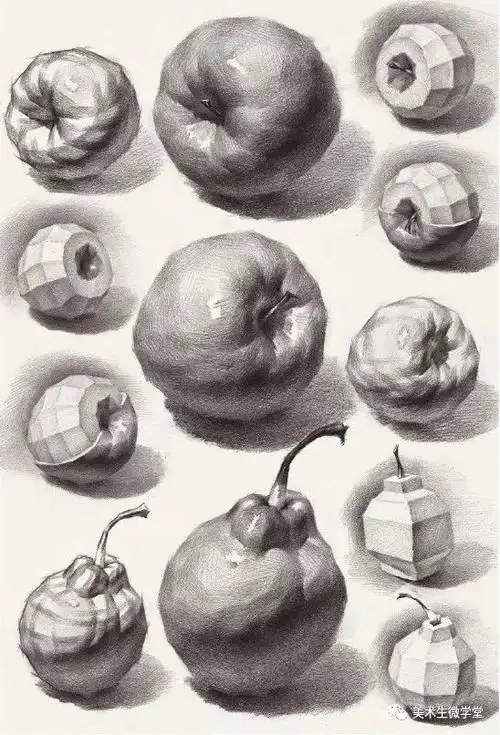 素描单个静物,一定要吃透它们的质感!