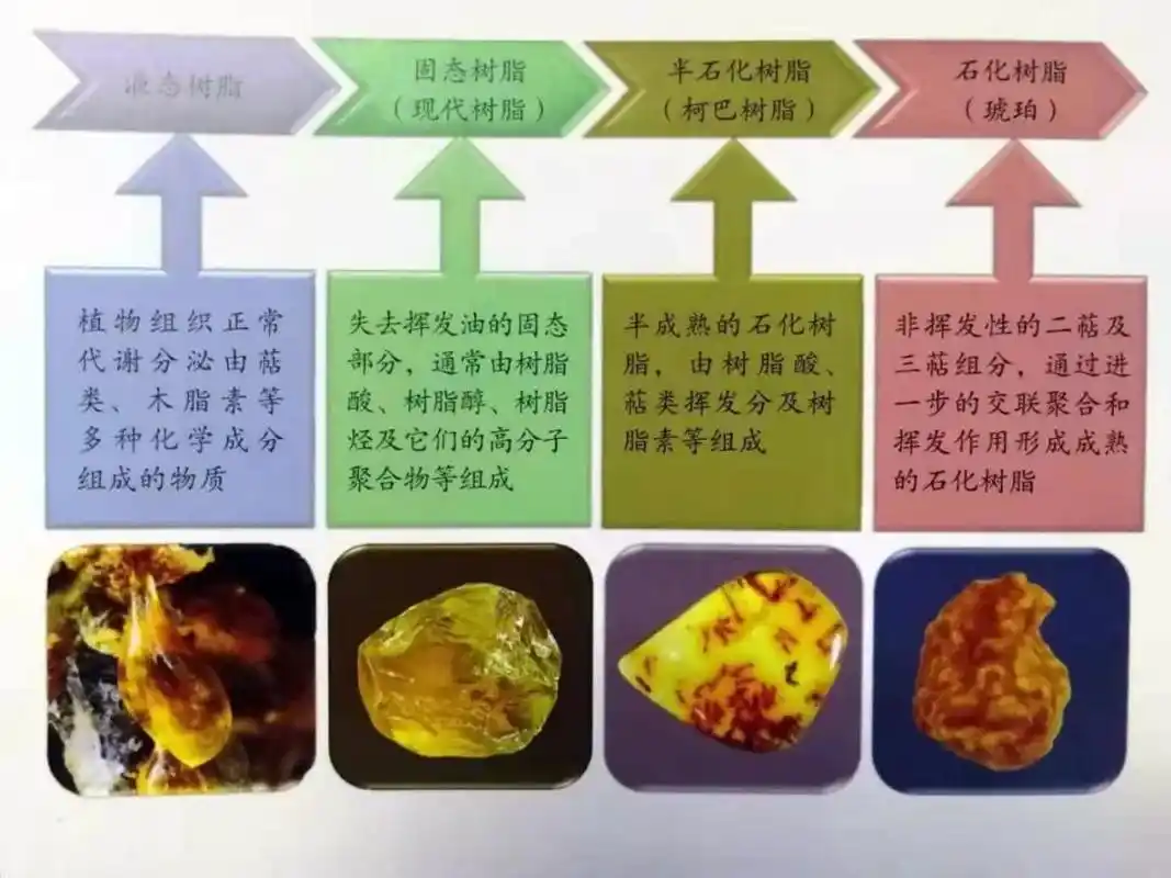 女子海边捡到 "琥珀"突然爆炸,险酿悲剧!