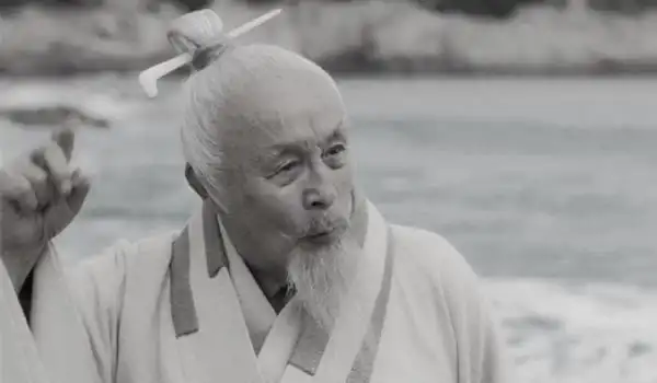 计算,陆游去世时应该已经85岁左右,这在当时应该算是难得的长寿老人了