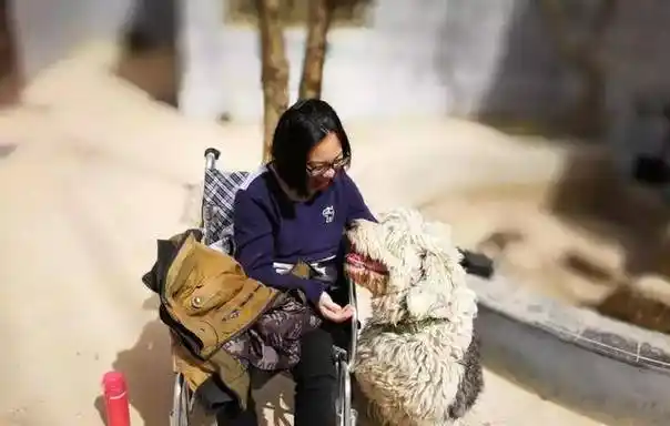 揣着200块带绝症女友去旅行,惹哭董卿的小夫妻后来过得怎么样了