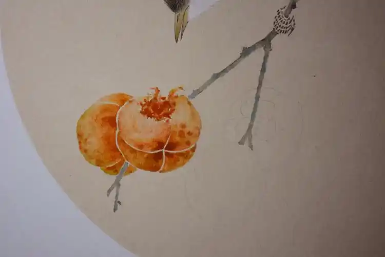 根据图片创作《柿子熟了》步骤--王化记(河南濮阳人,工笔花鸟画家