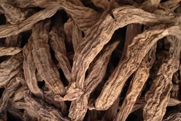 玄参的功效与作用 玄参的副作用