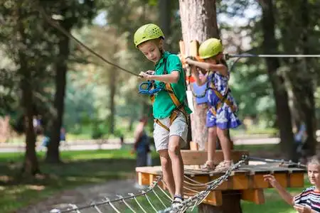 阳光明媚的树木图片-阳光明媚的树木素材-阳光明媚的树木插画-摄图新