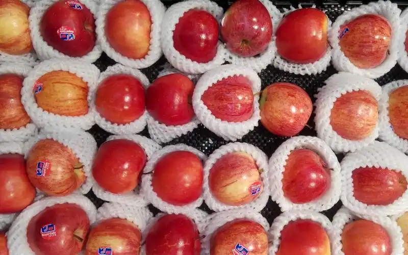 美味的水果,苹果 壁纸 - 1920x1200