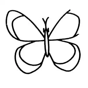 蝴蝶简笔画图片 蝴蝶昆虫简笔画步骤图片大全二