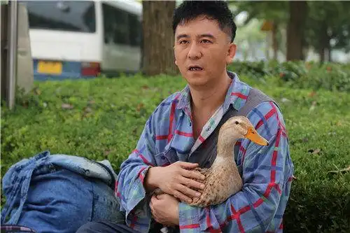 福根进城电视剧全集1-50集剧情介绍 看农民工背井离乡艰辛奋斗史