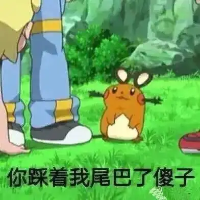 咚咚鼠好气啊笑cry迷之笑点哈哈哈哈哈哈哈哈哈哈哈哈